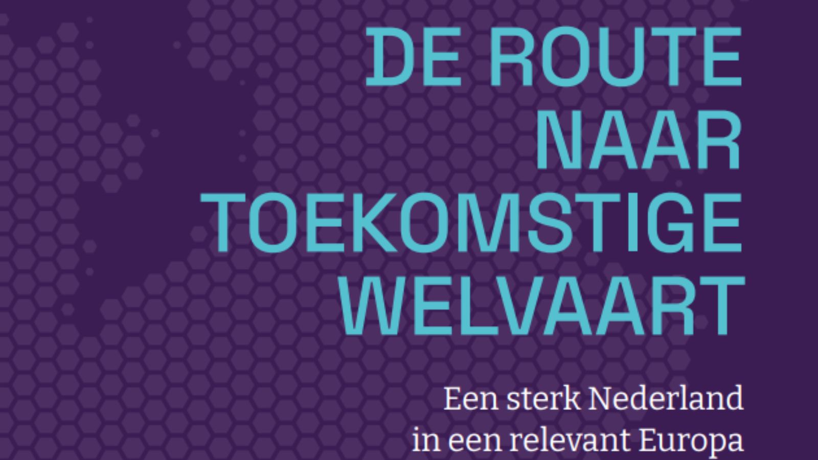 Rapport Wennink